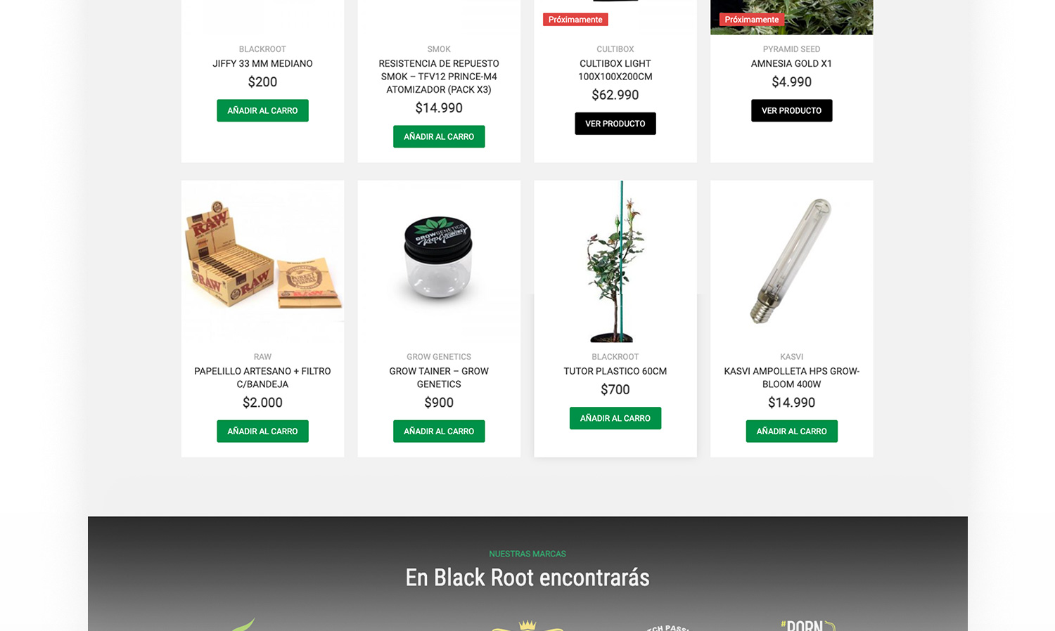 Diseño pagina web black Root